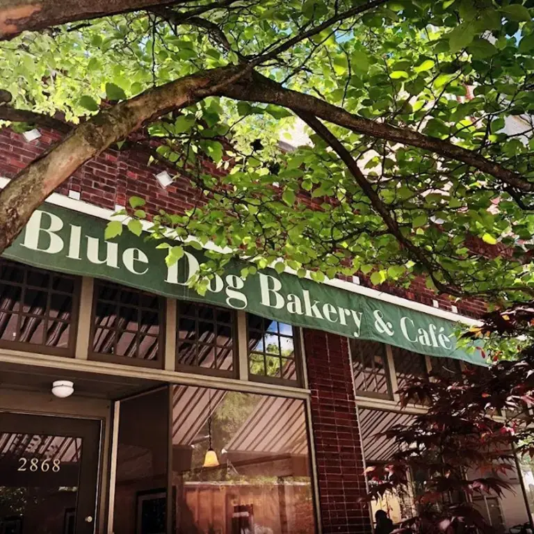 Blue Dog Bakery & Cafe